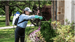 How Preventive Maintenance Keeps Homes Safe From Pests