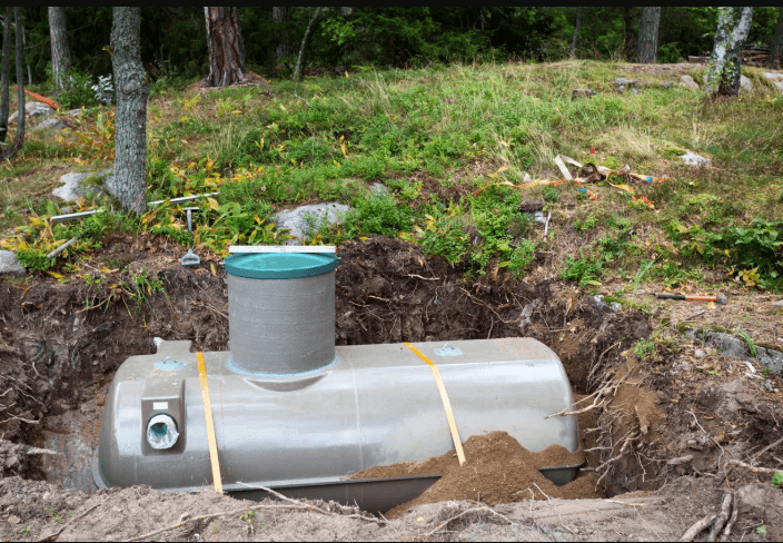 Your Yard Is Hiding a Ticking Time Bomb And Most Homeowners Have No Idea