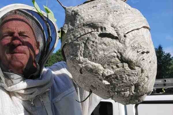 The Importance of Professional Residential Pest Control
